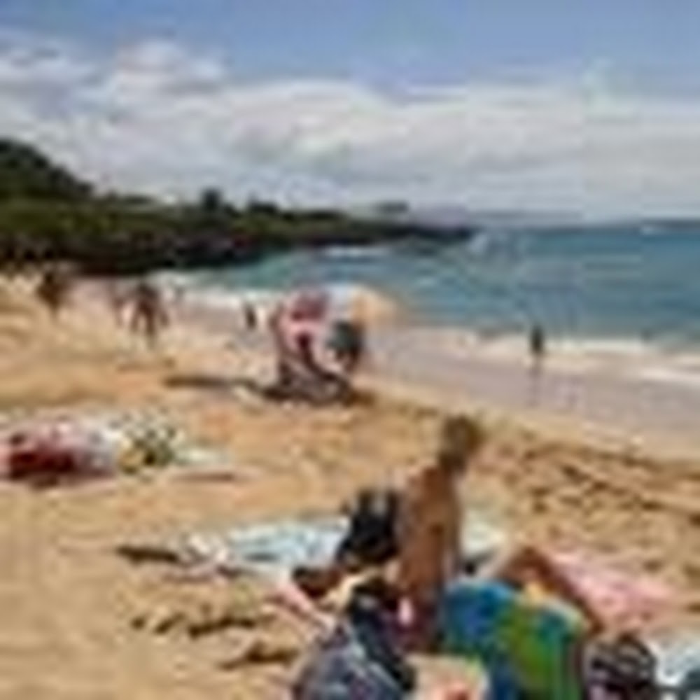 Meet your Posher, Erin d